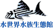 水世界水族
